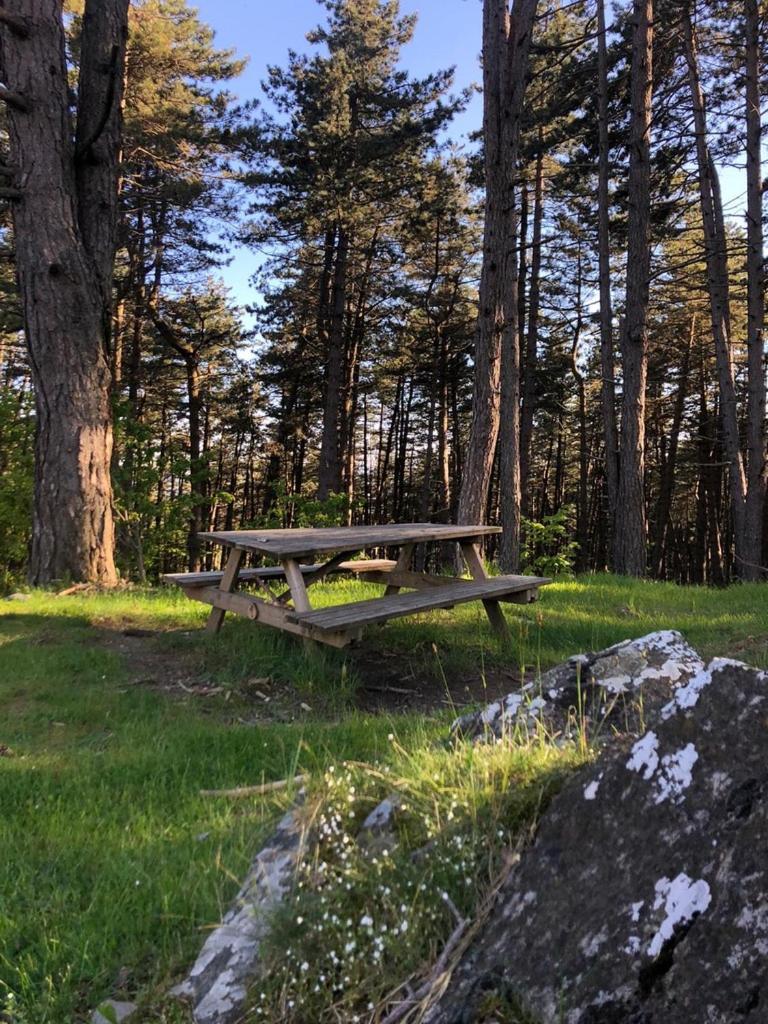Cuccaro Club - Val Di Vara E Cinque Terre Rocchetta di Vara Εξωτερικό φωτογραφία